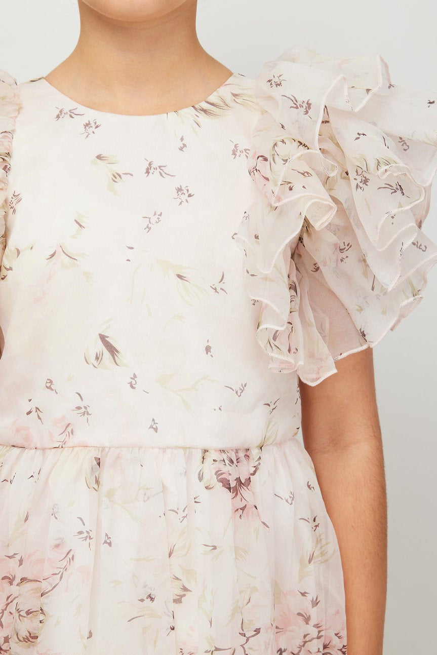 Rose Printed Organza Dress