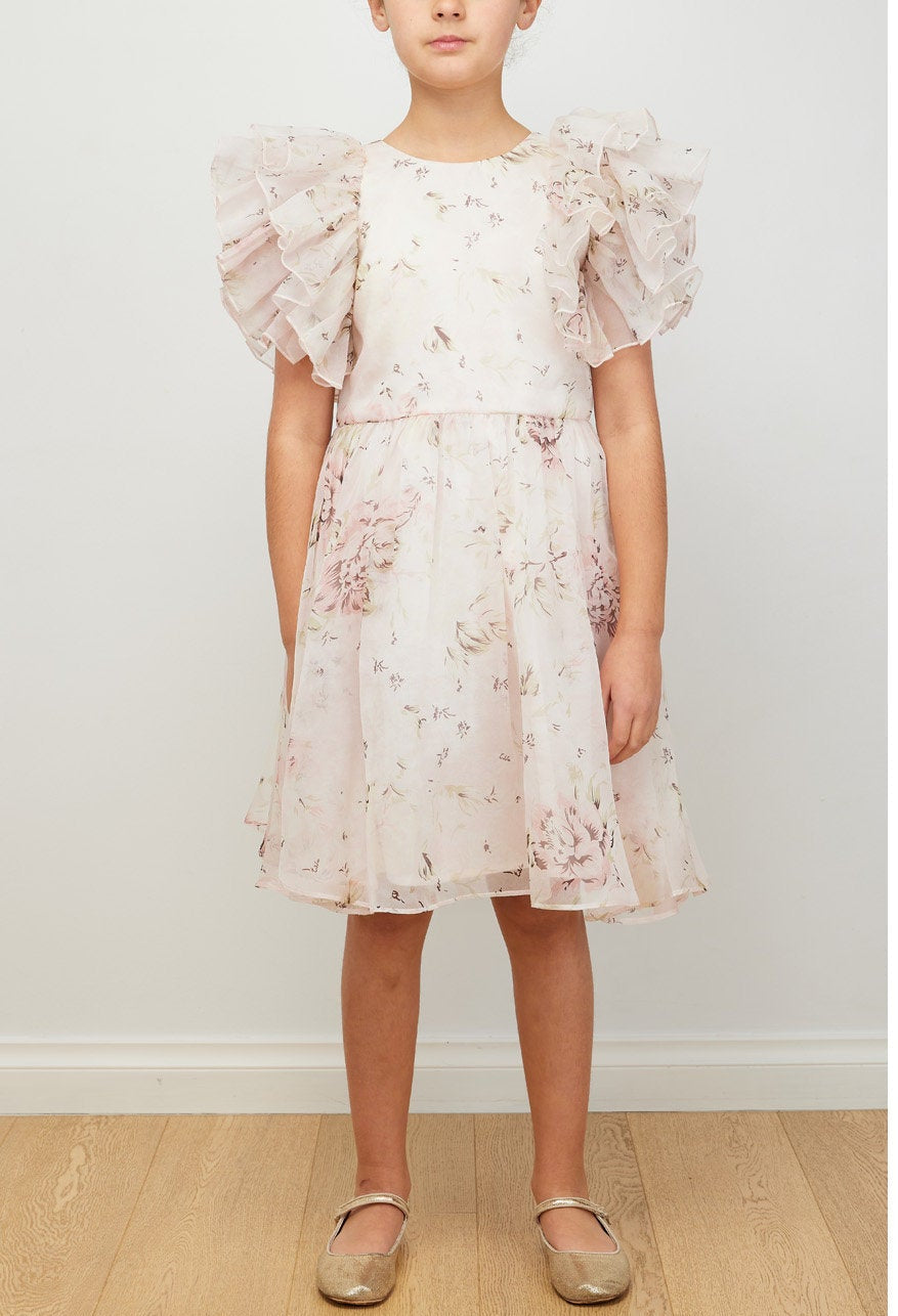Rose Printed Organza Dress