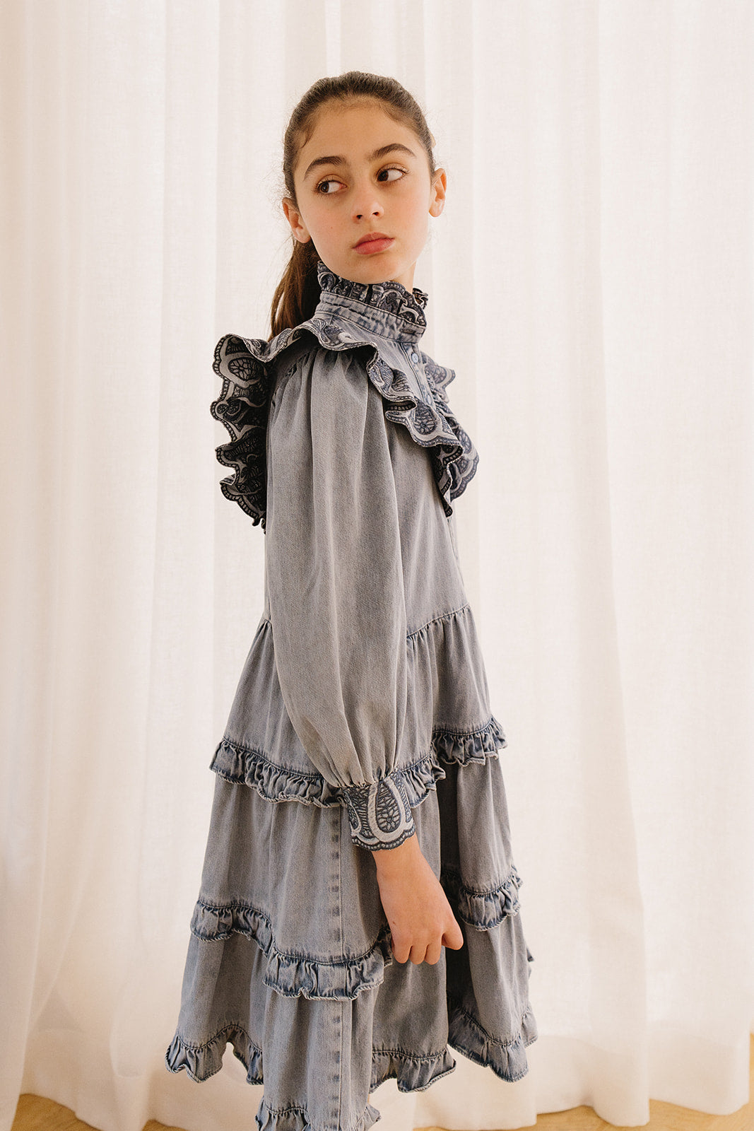 Embroidered Chambray Dress with Tiered Skirt