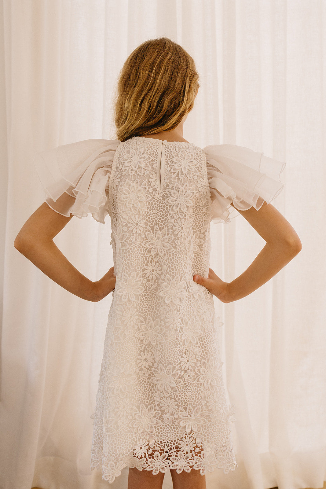 Organza Ruffle Sleeve Lace Dress