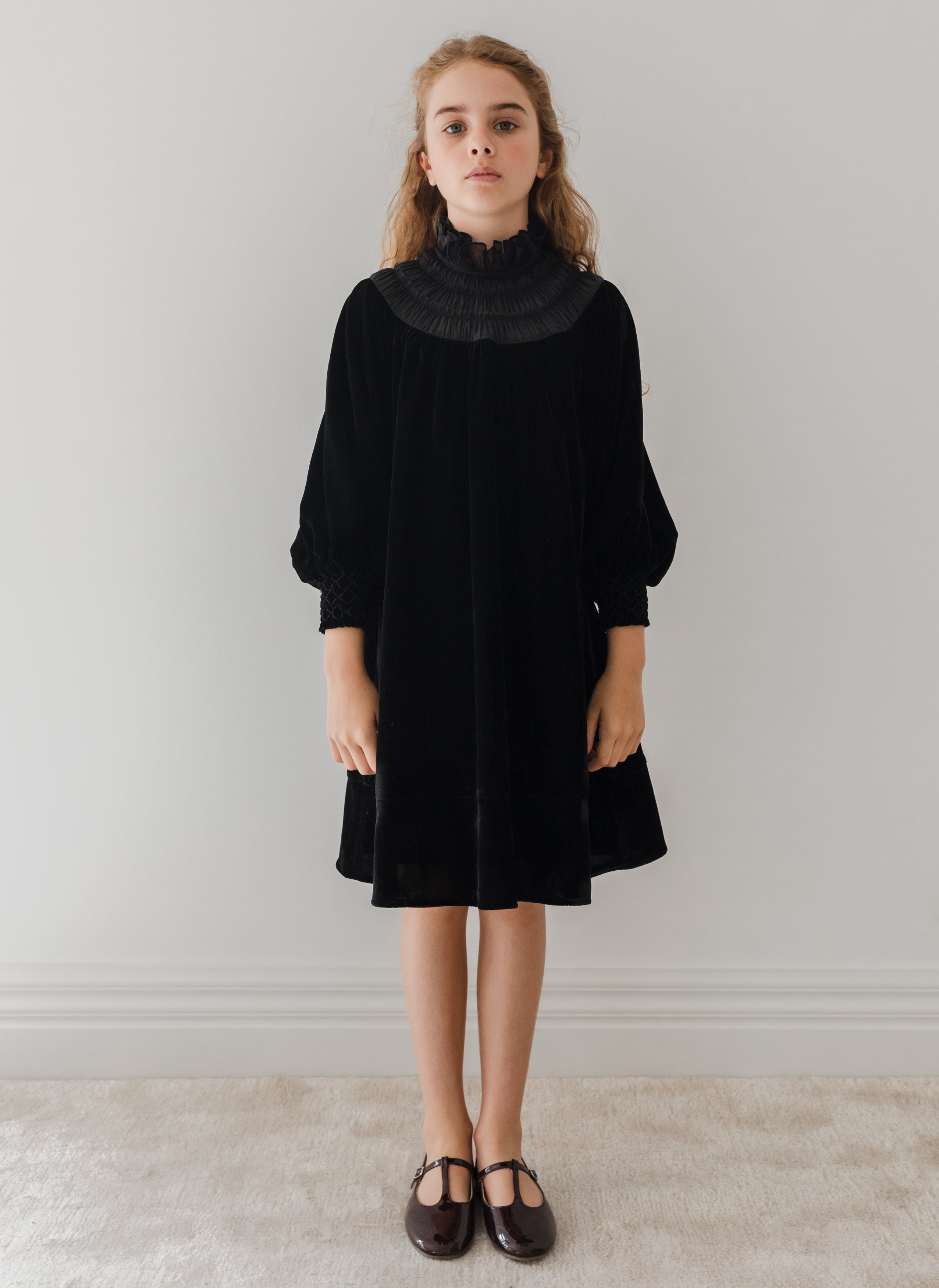 Velvet Shirred Organza Dress