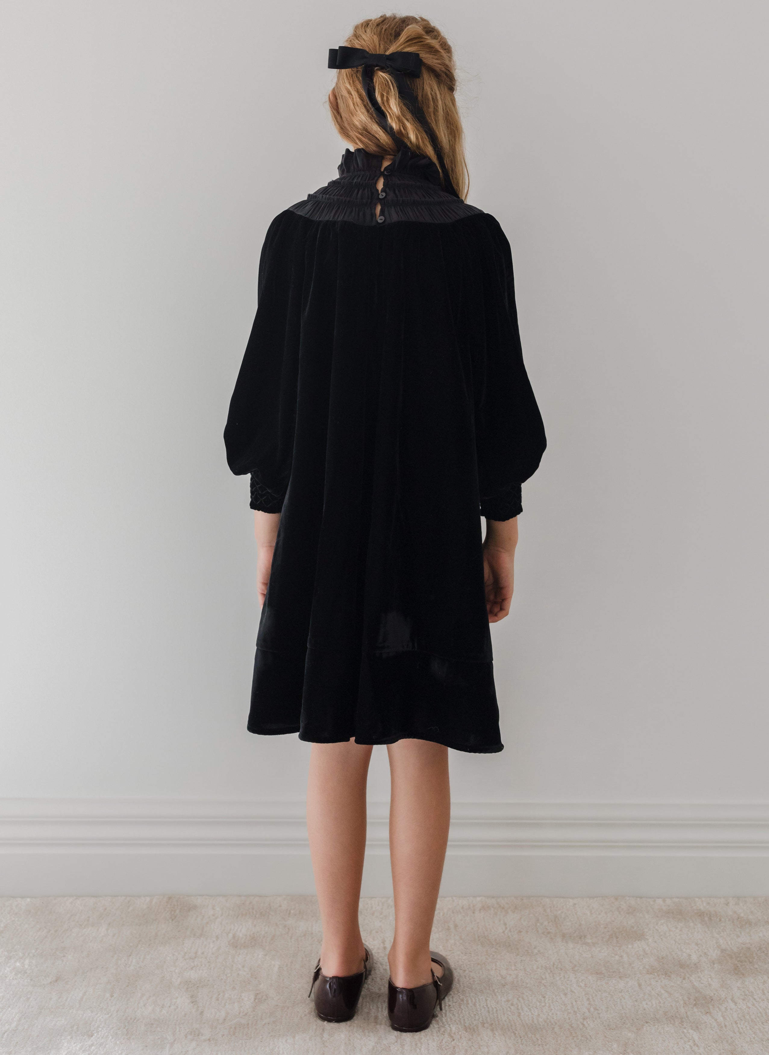 Velvet Shirred Organza Dress