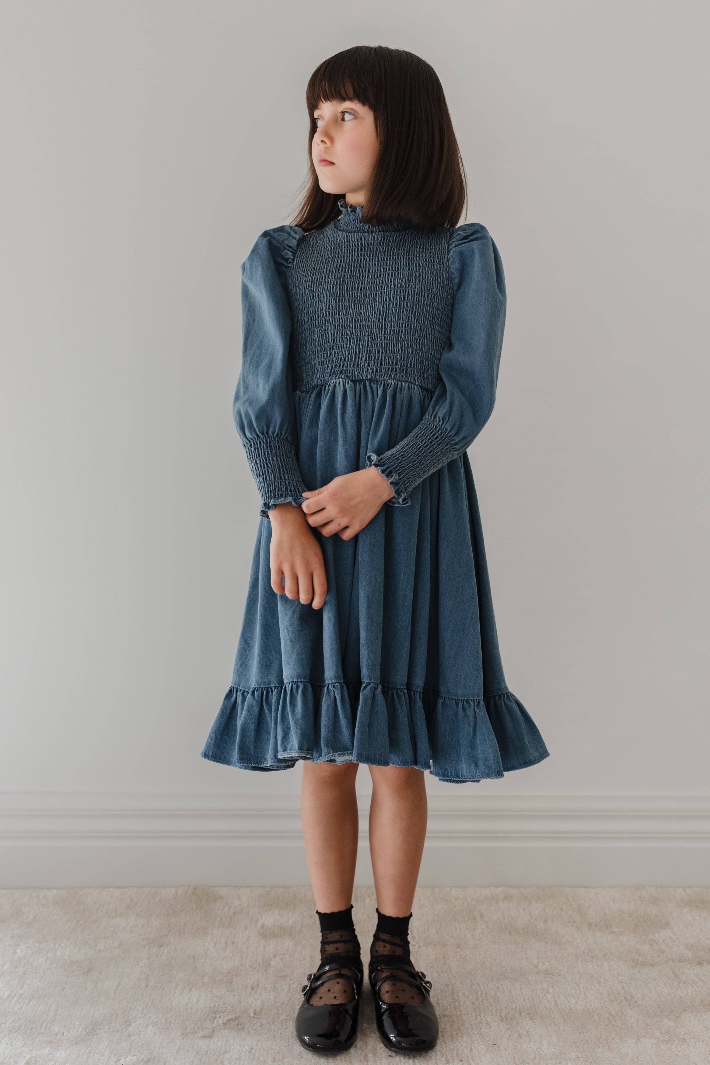 Chambray Shirred Dress