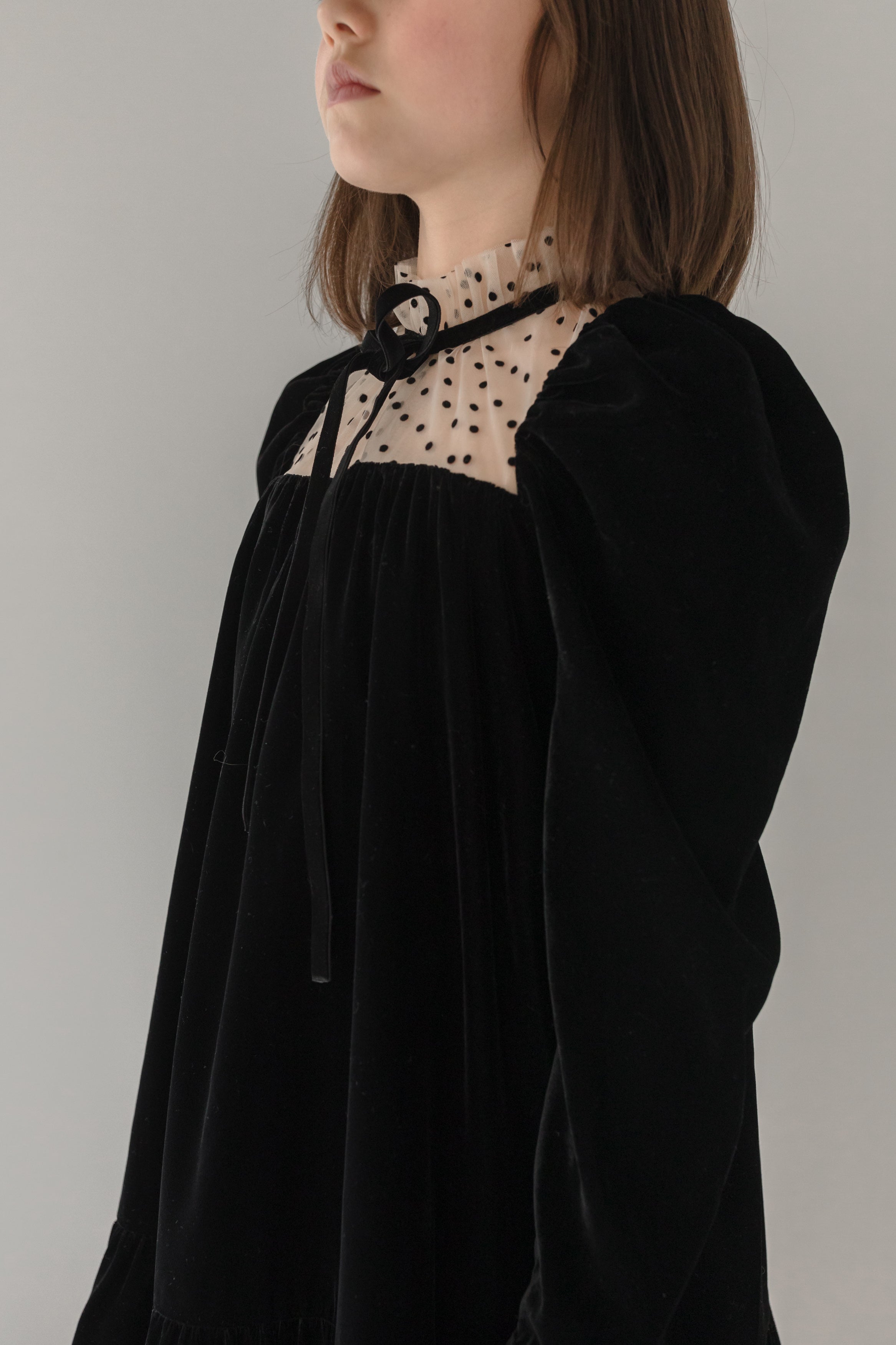 Flock Spot Mesh & Velvet Dress