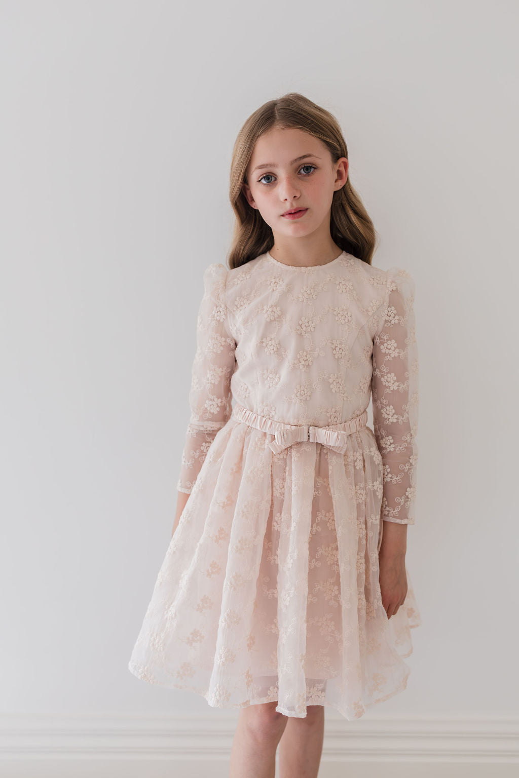Vine Embroidered Organza Dress