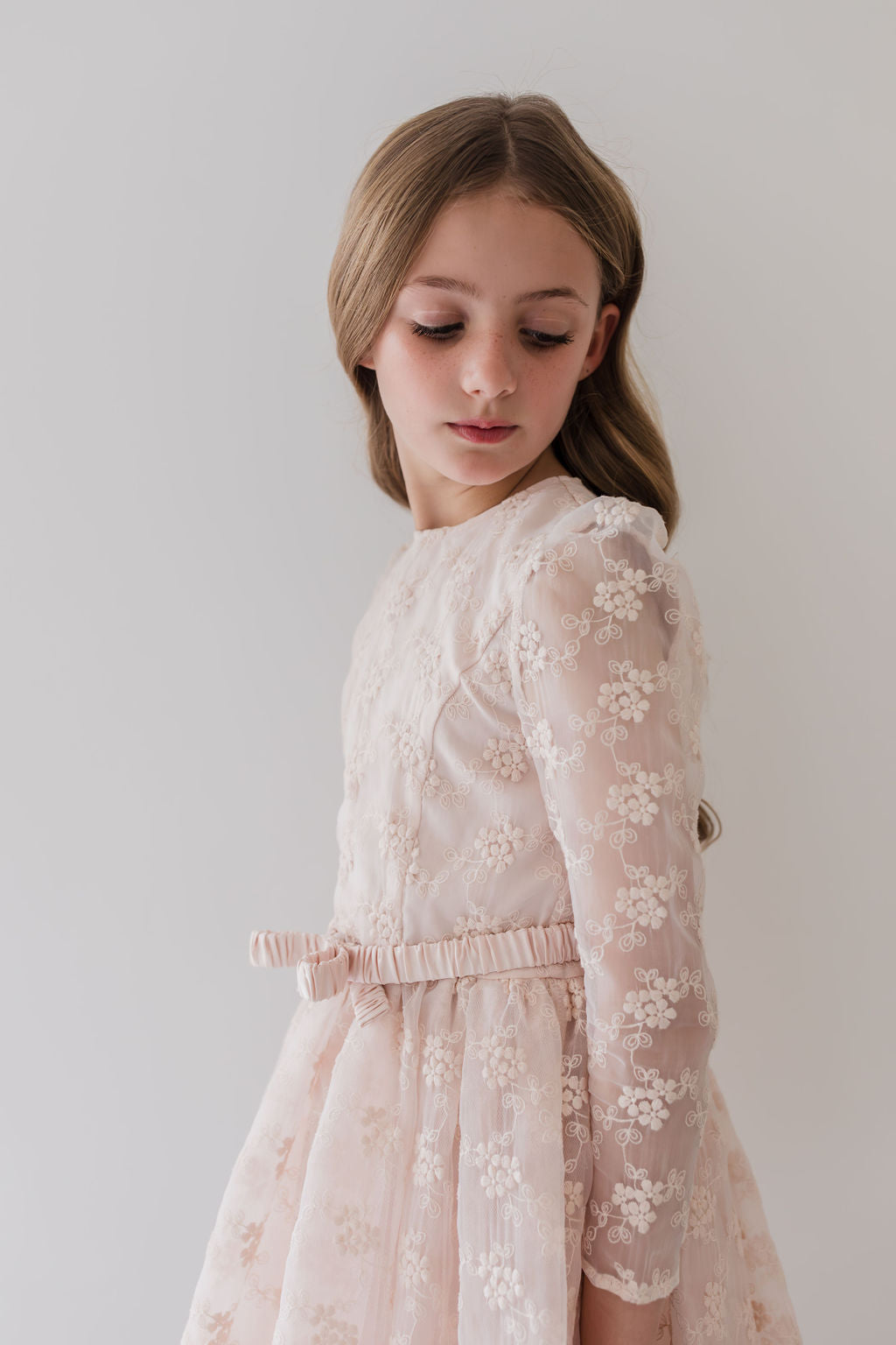 Vine Embroidered Organza Dress