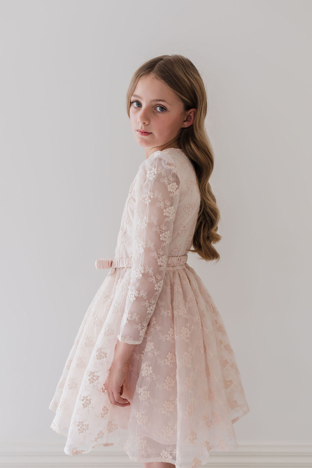 Vine Embroidered Organza Dress