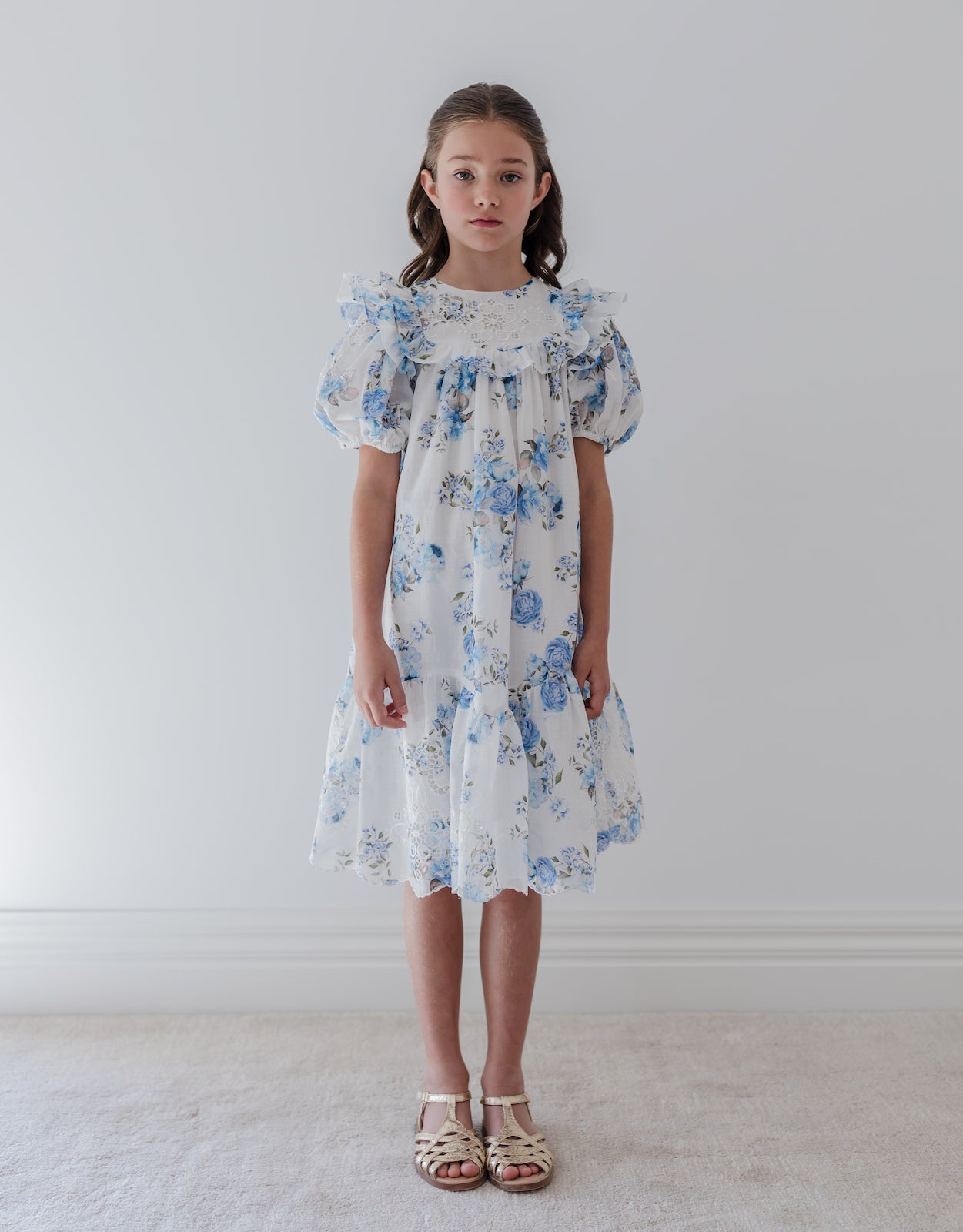 Blue Rose Embroidered Dress