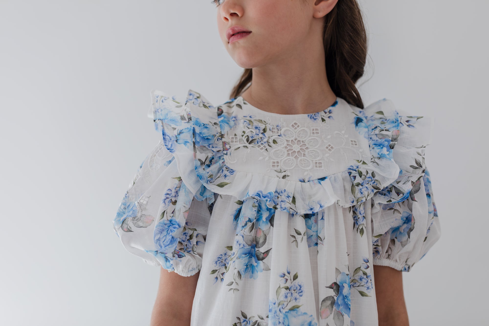 Blue Rose Embroidered Dress