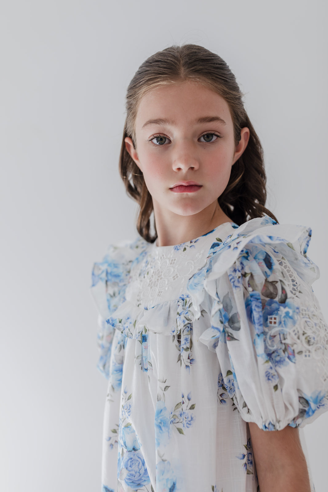 Blue Rose Embroidered Dress