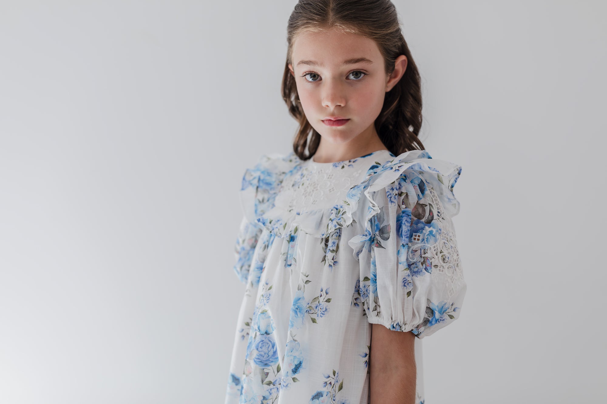 Blue Rose Embroidered Dress