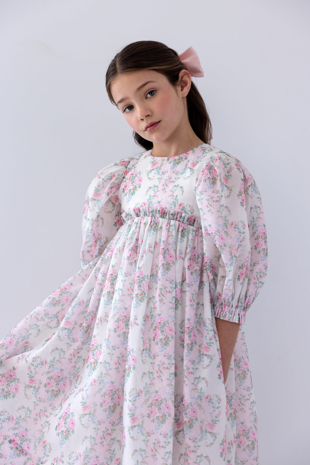 Elbow Sleeve Vintage Wallpaper Organza Dress