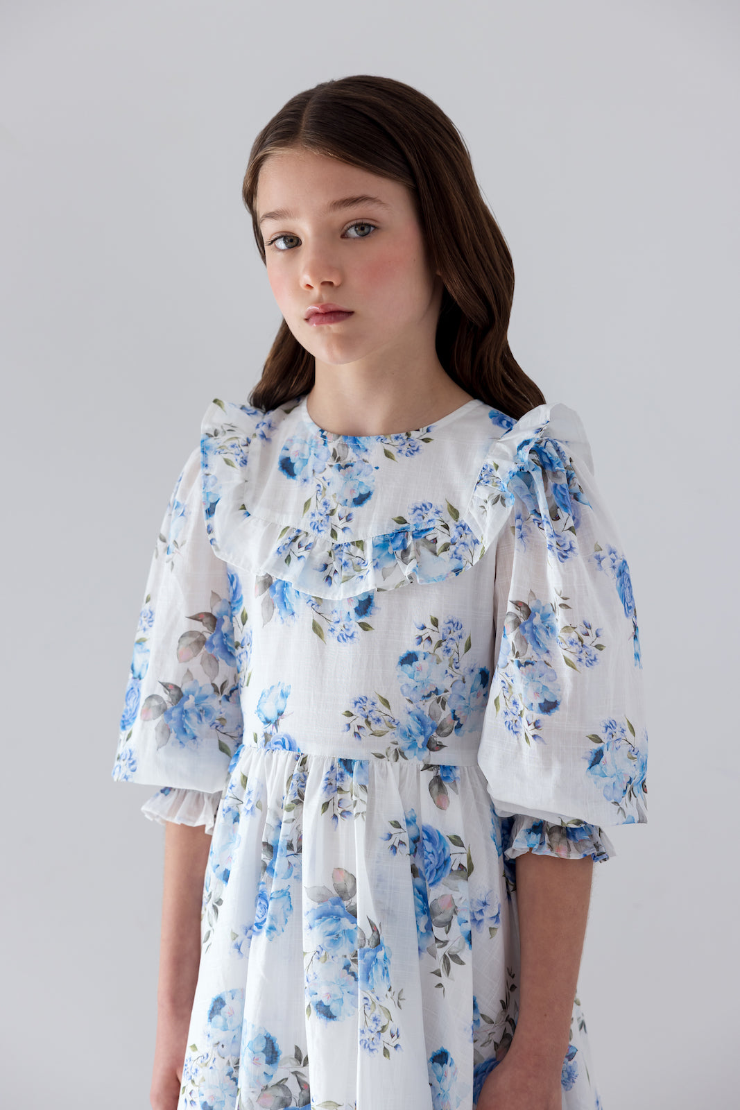 Blue Rose Print Elbow Sleeve Dress