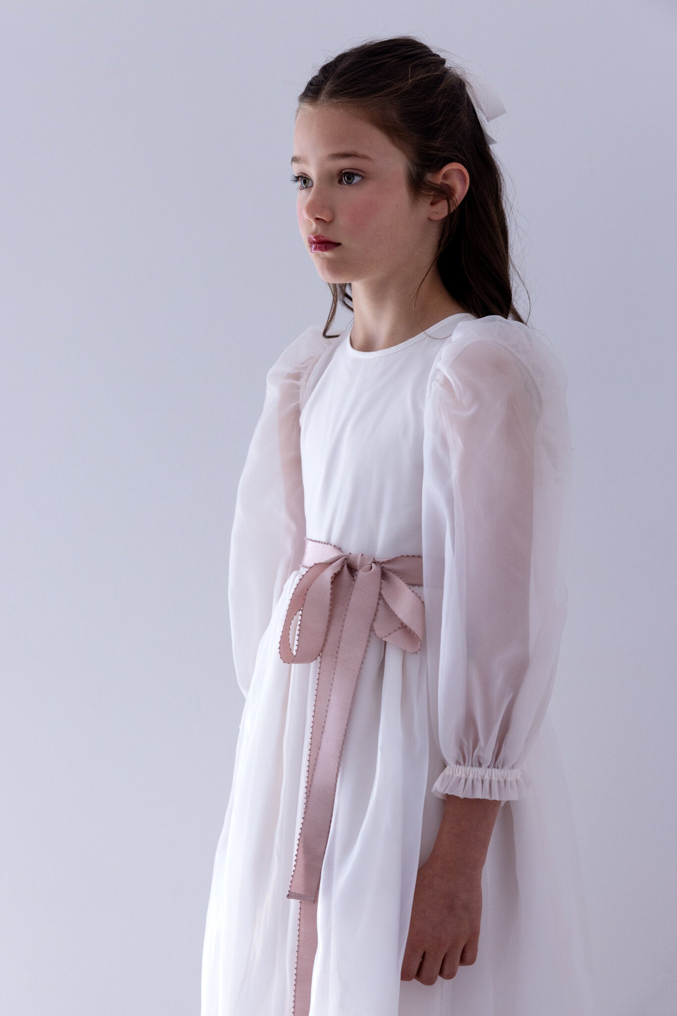 Embroidered Cameo Organza Gown