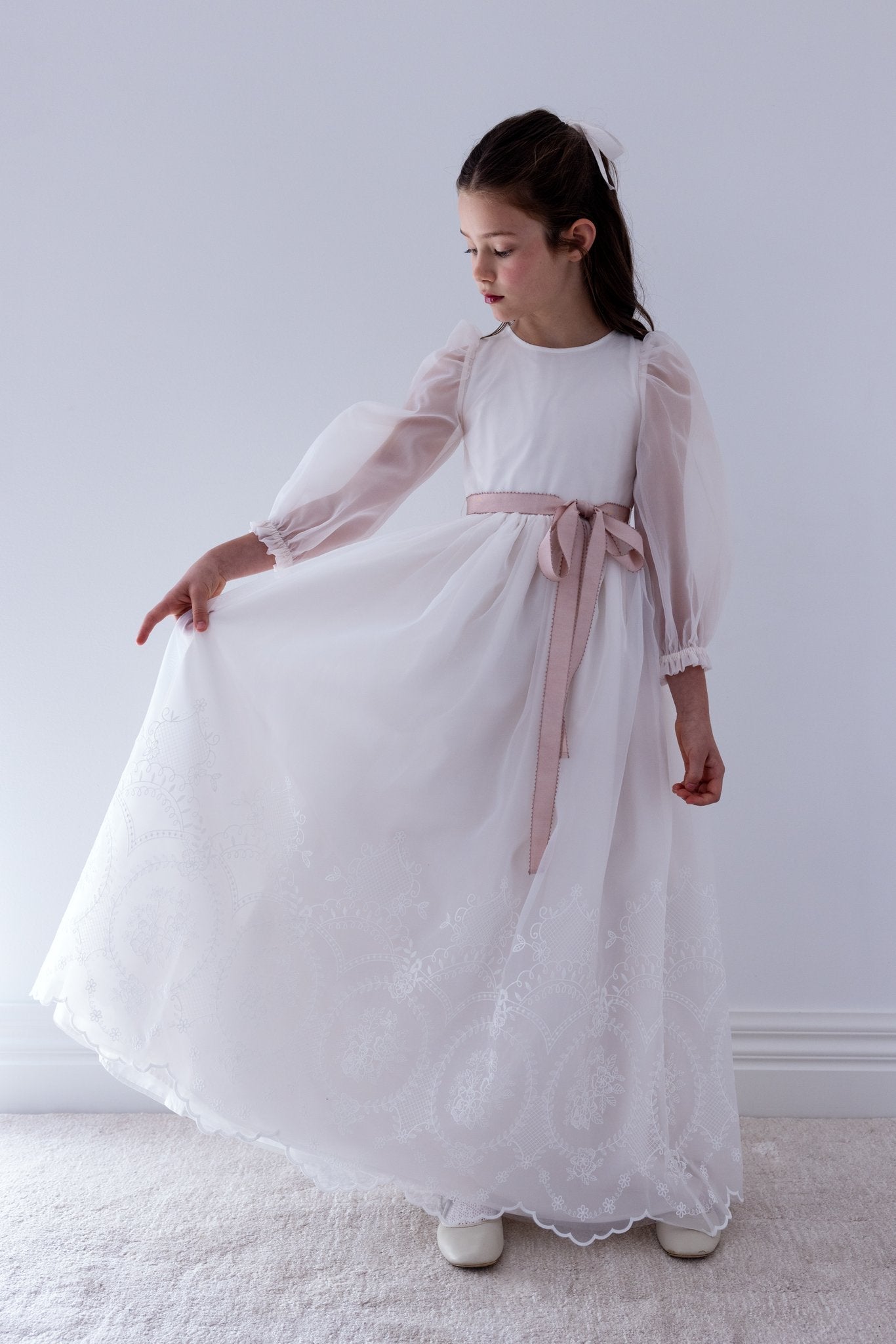 Embroidered Cameo Organza Gown