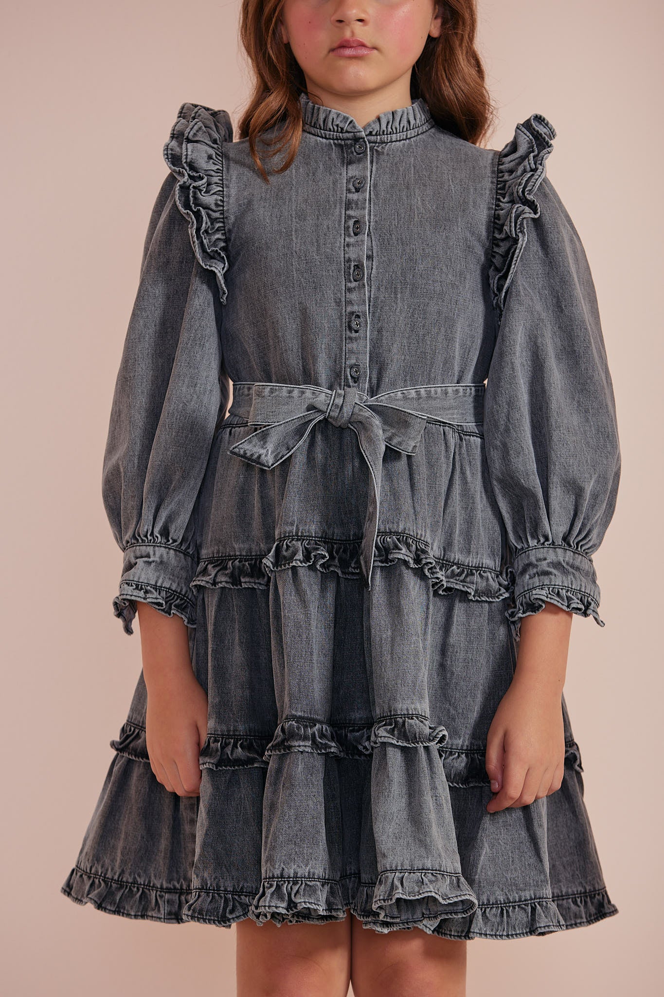 Chambray Frill Sleeve Dress
