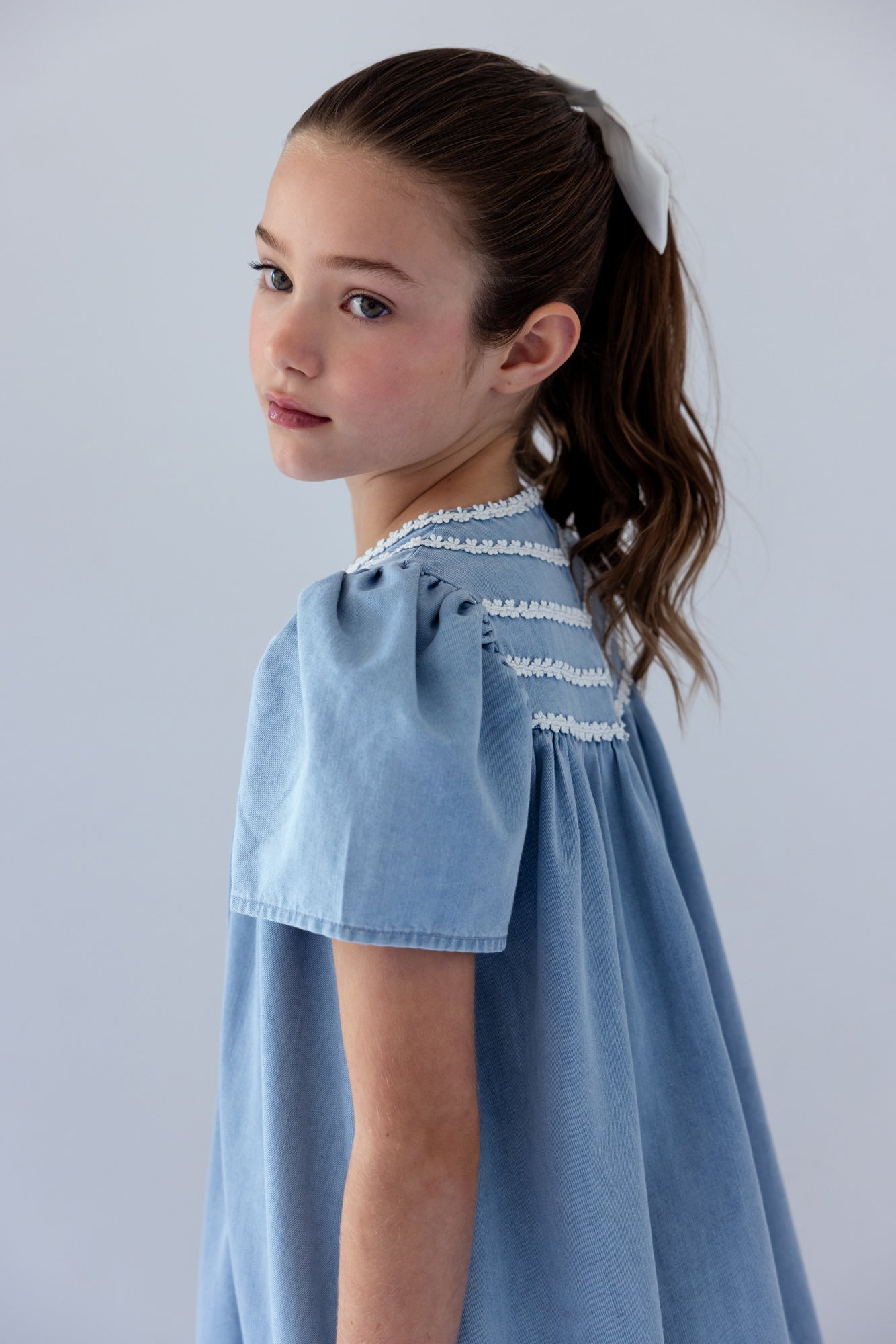 Chambray Daisy Chain Dress