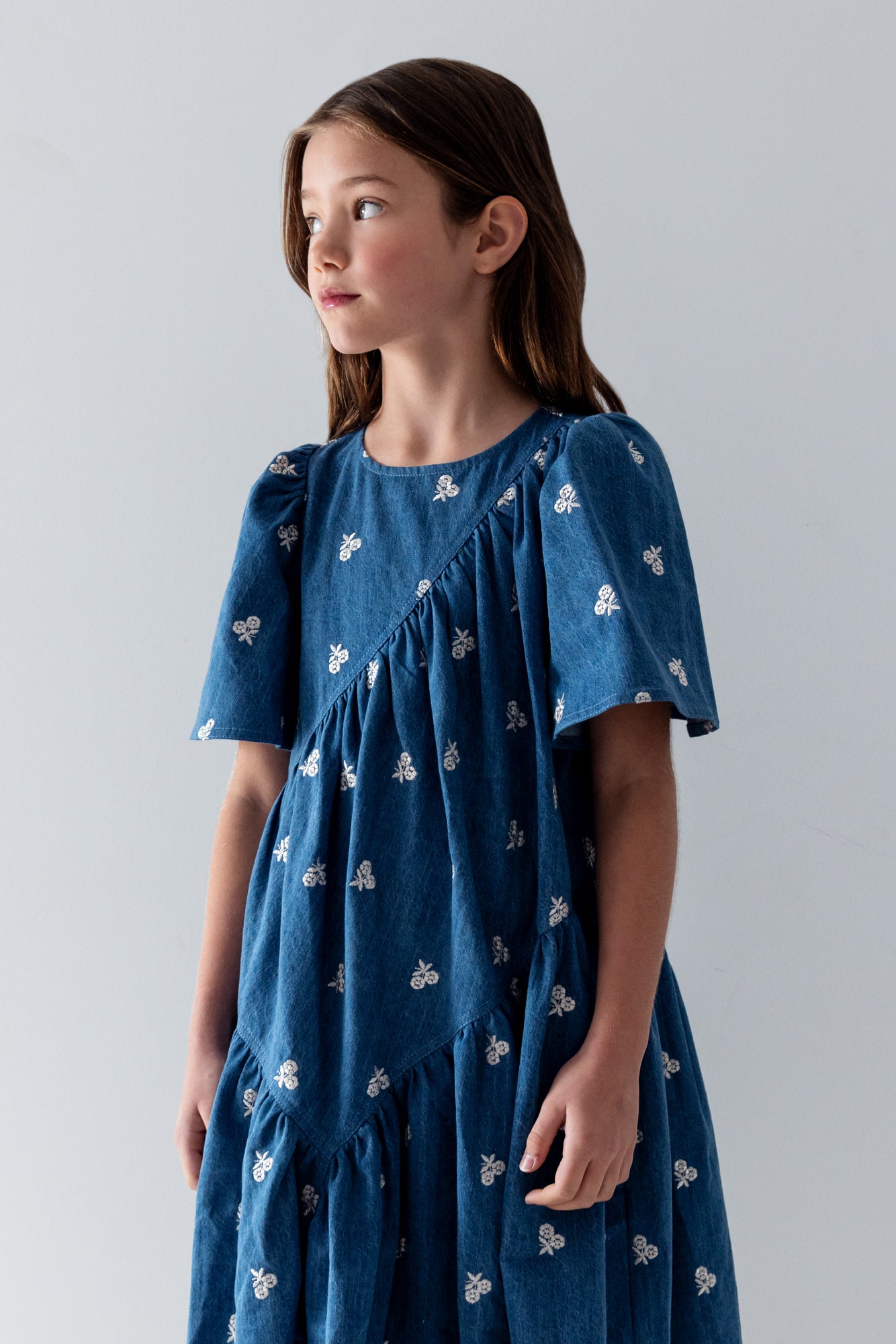 Embroidered Bud Chambray Dress