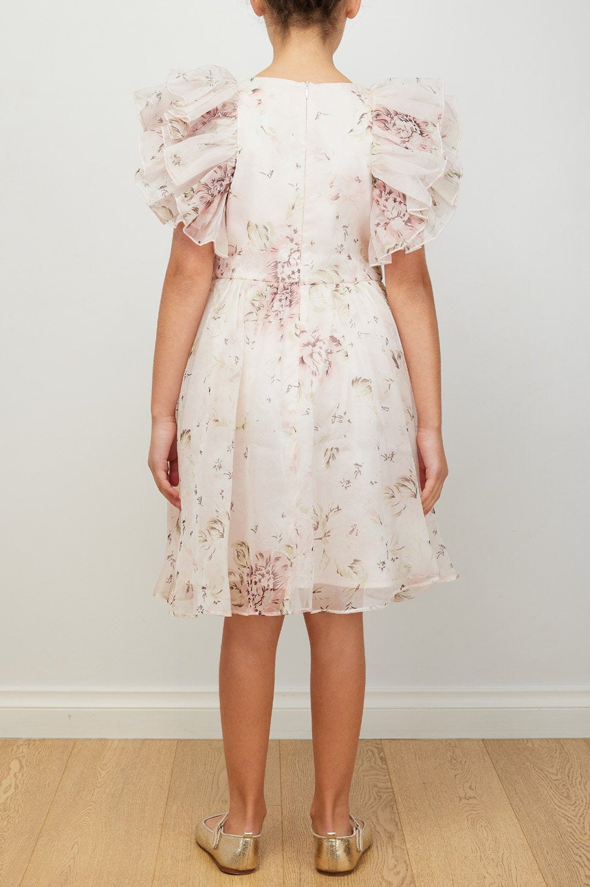 Rose Printed Organza Dress
