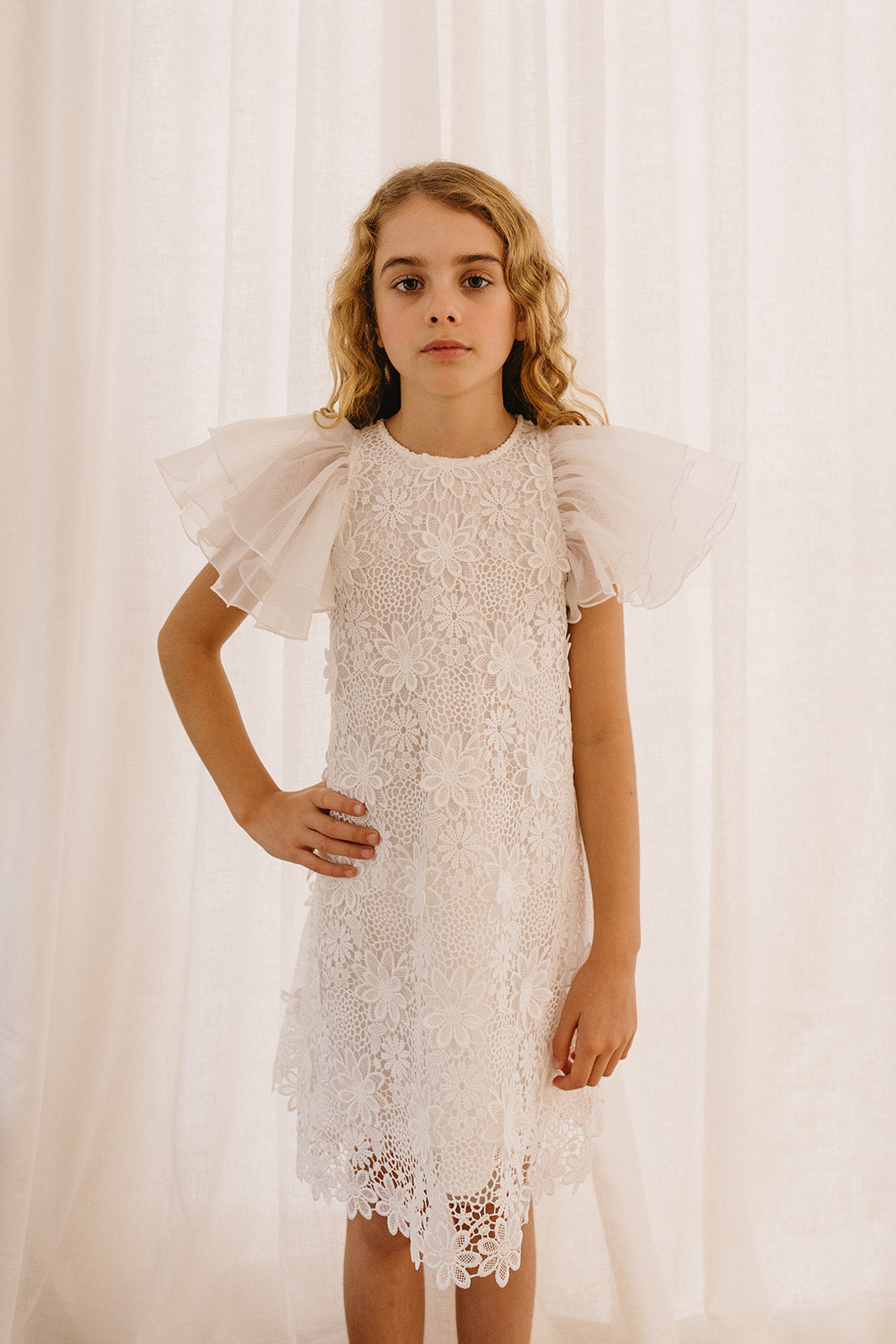 Organza Ruffle Sleeve Lace Dress