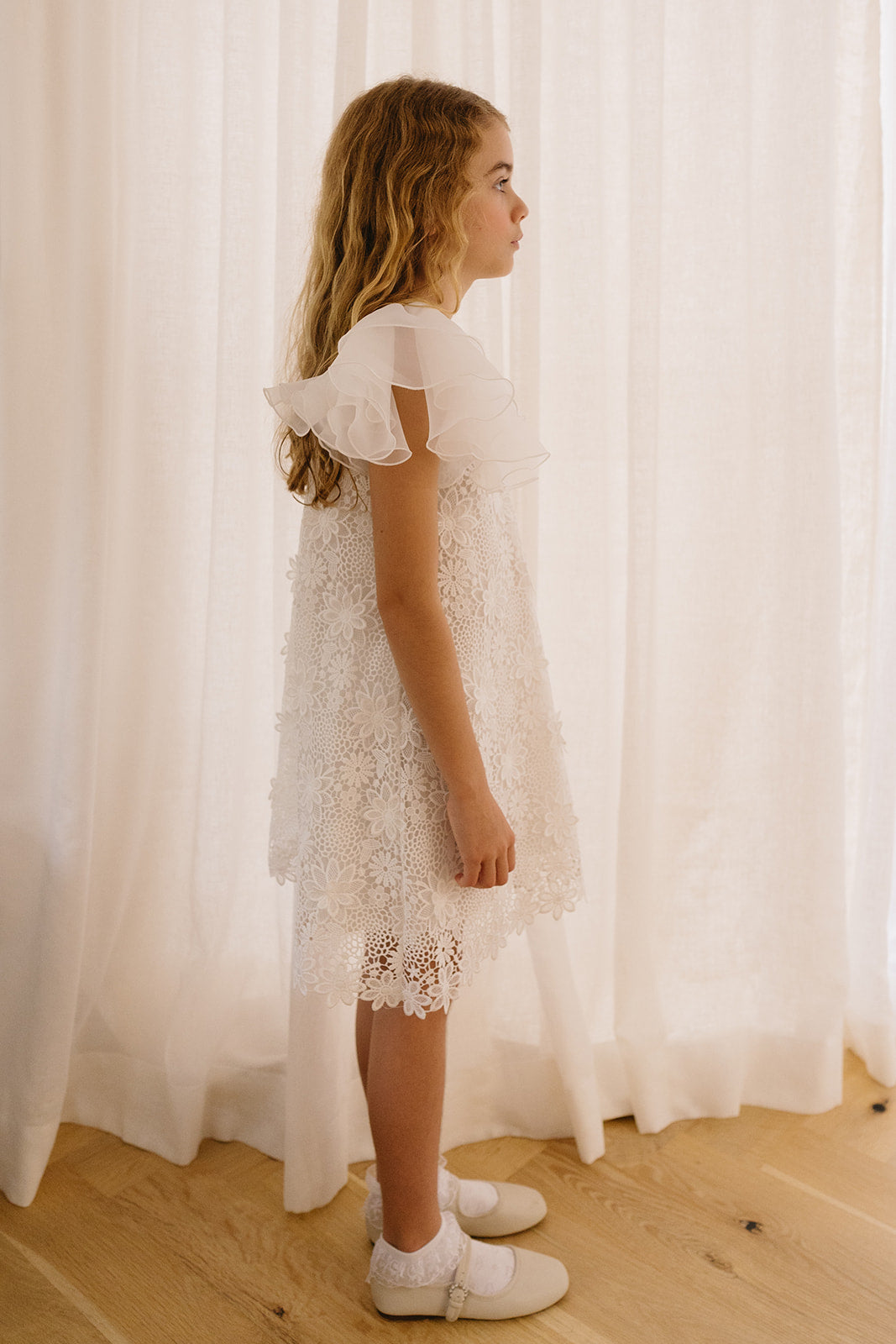 Organza Ruffle Sleeve Lace Dress