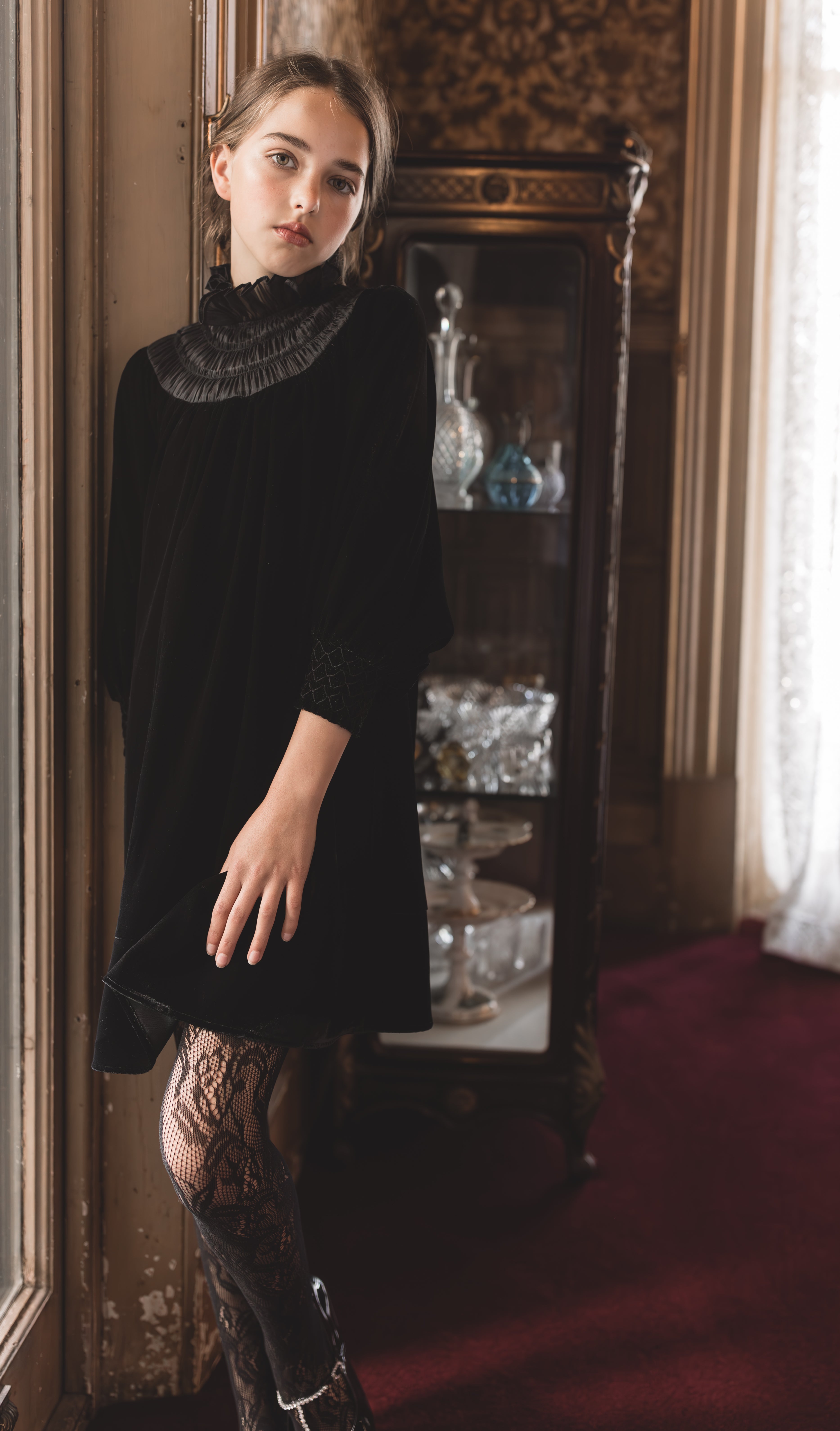 Velvet Shirred Organza Dress