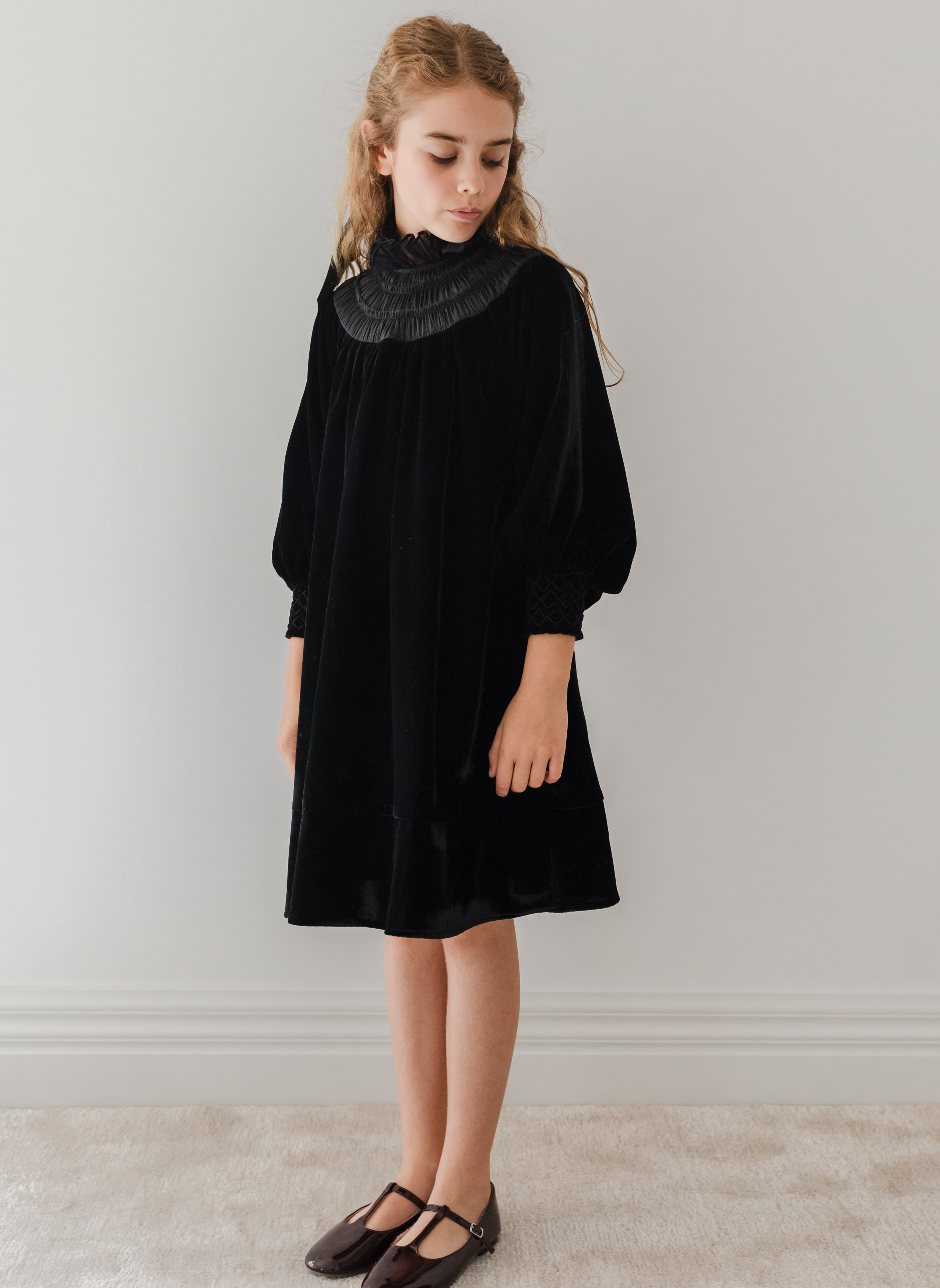 Velvet Shirred Organza Dress