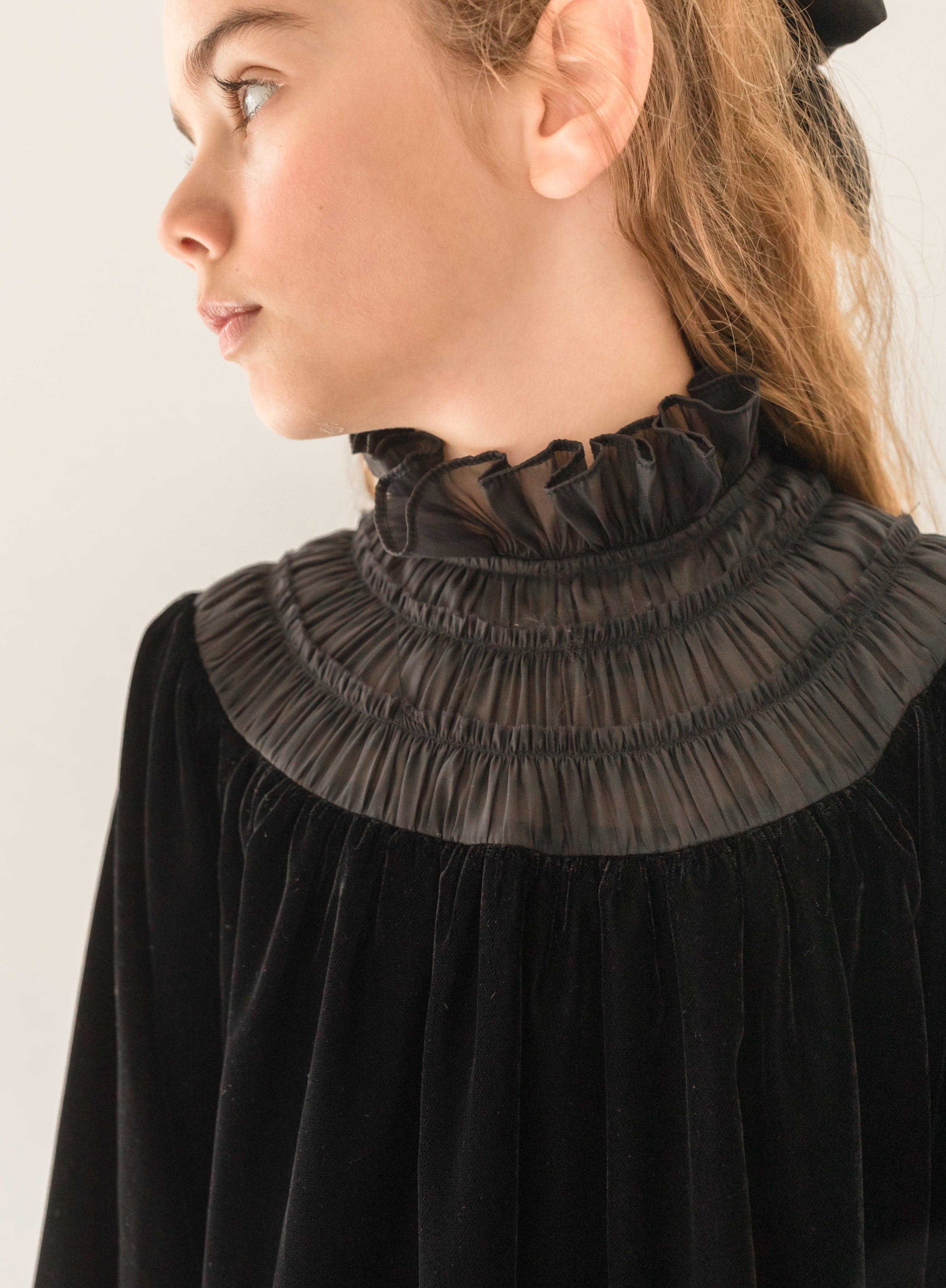 Velvet Shirred Organza Dress