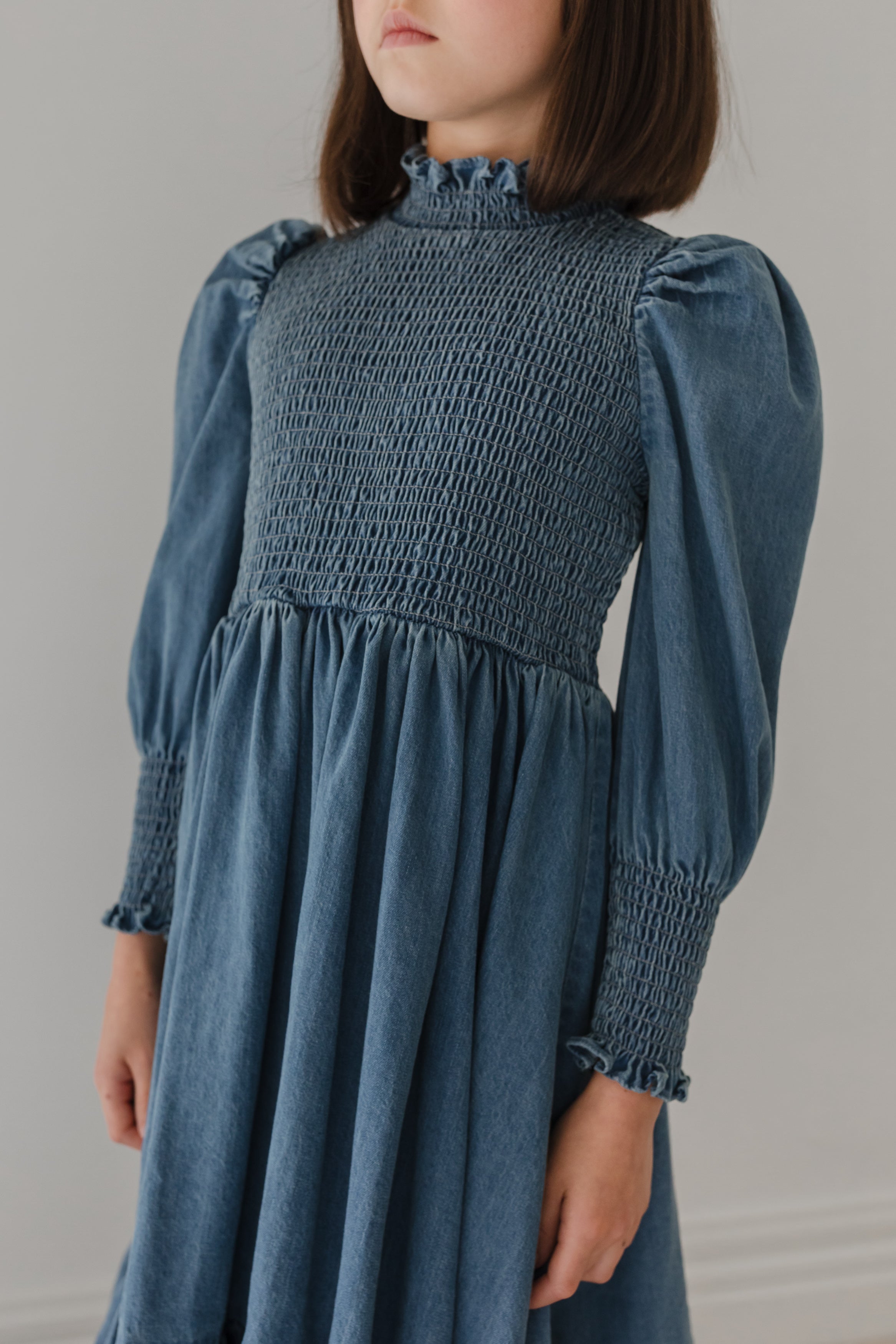 Chambray Shirred Dress