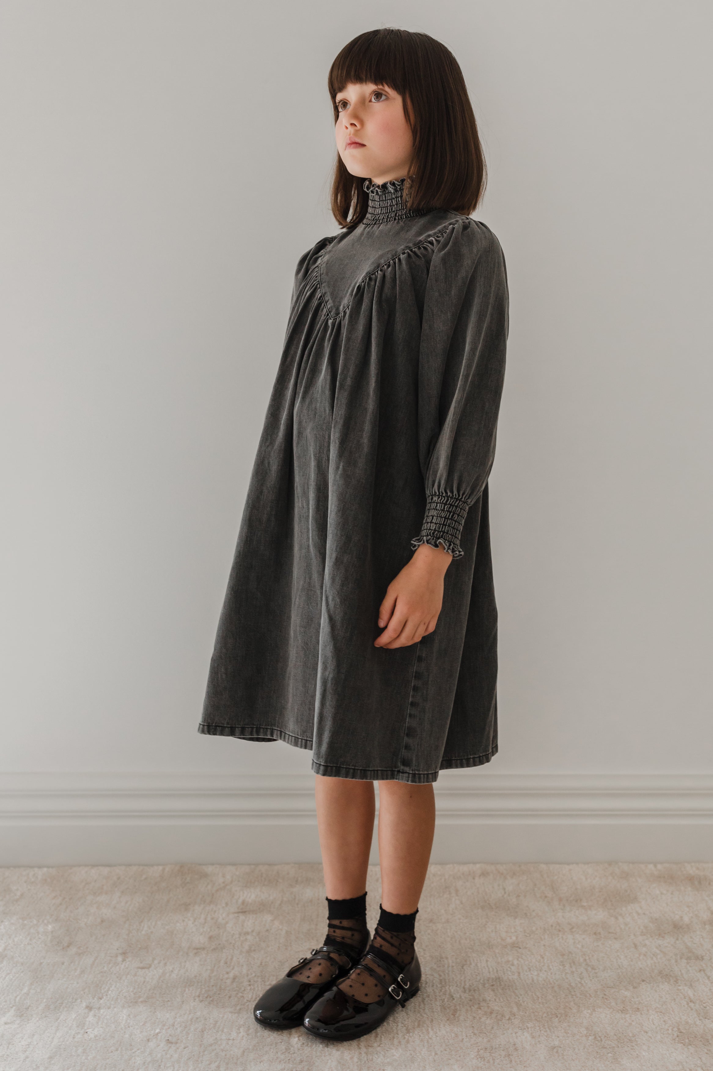 Chambray Shirred Neck Babydoll Dress