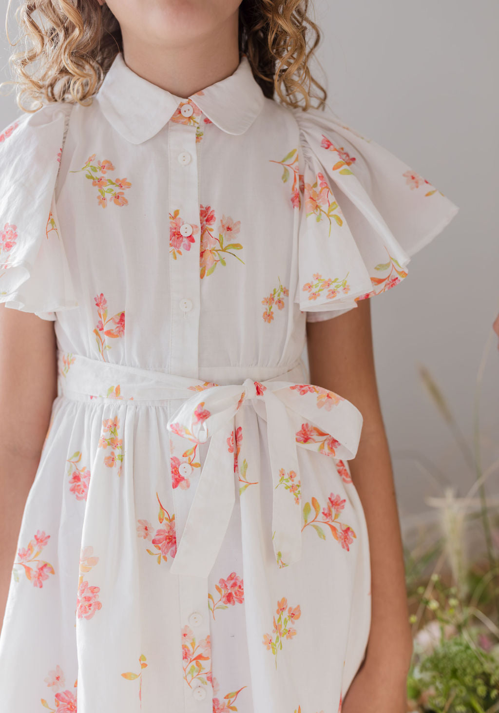 Flutter Sleeve Voile Dress