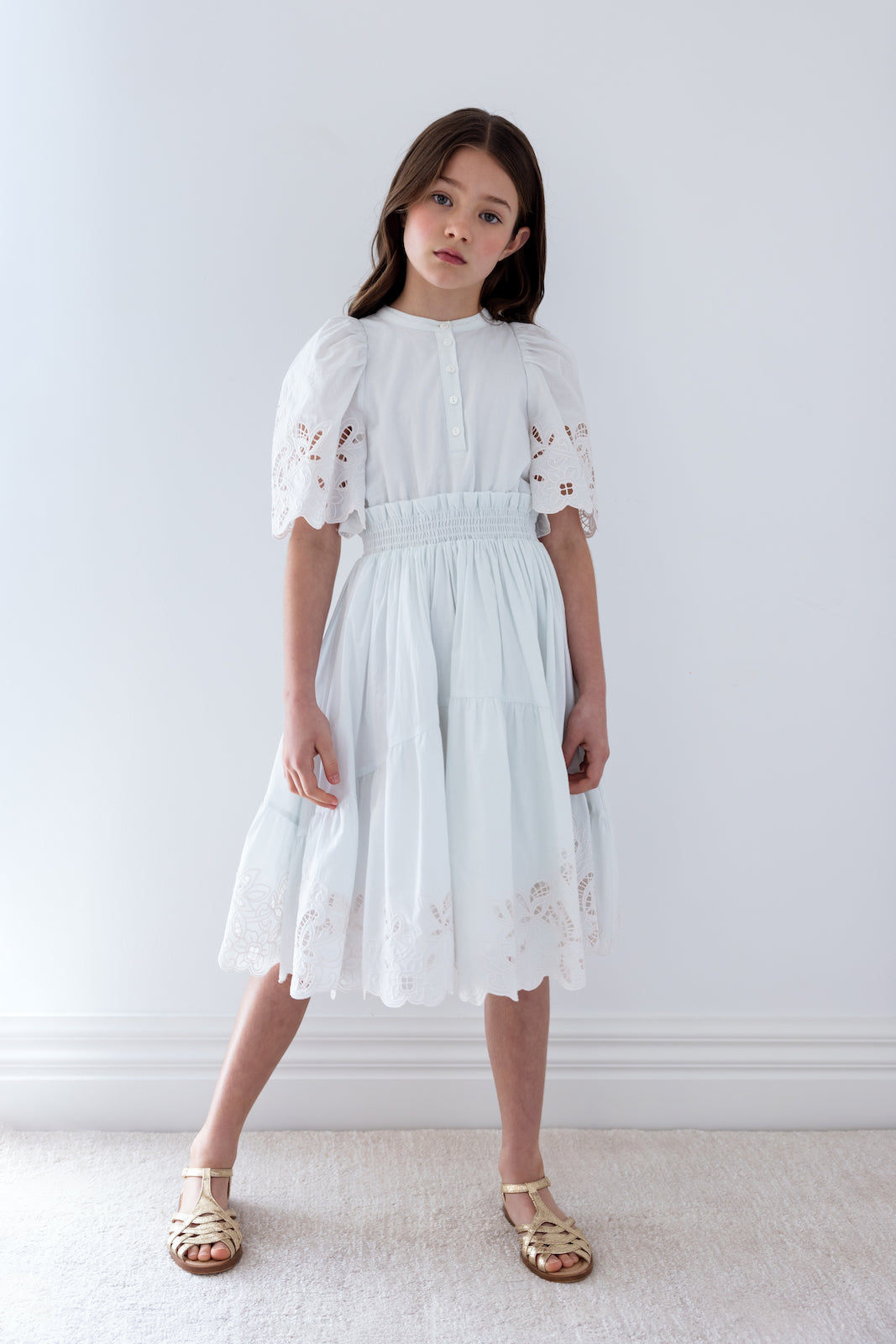 Blue Embroidered Shirred Waist Dress