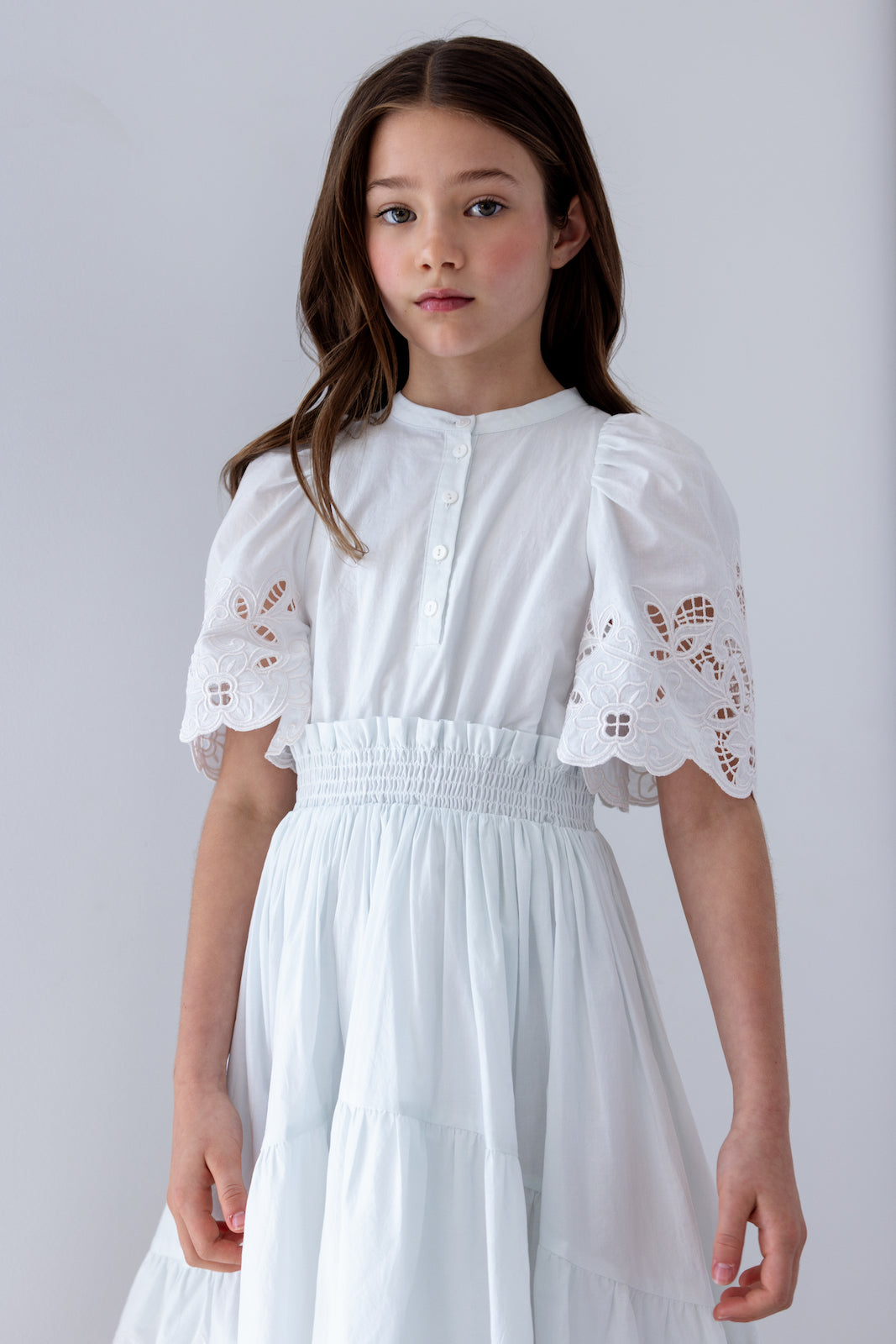 Blue Embroidered Shirred Waist Dress