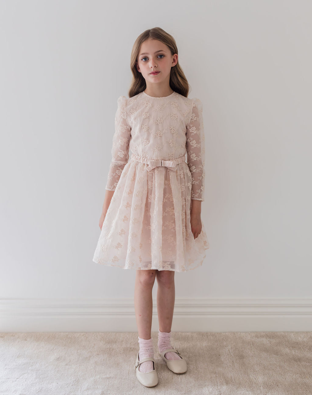 Vine Embroidered Organza Dress