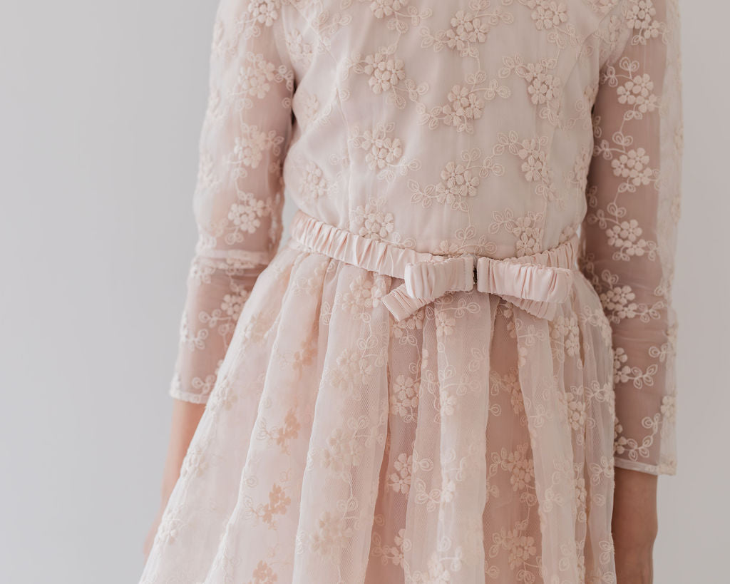 Vine Embroidered Organza Dress