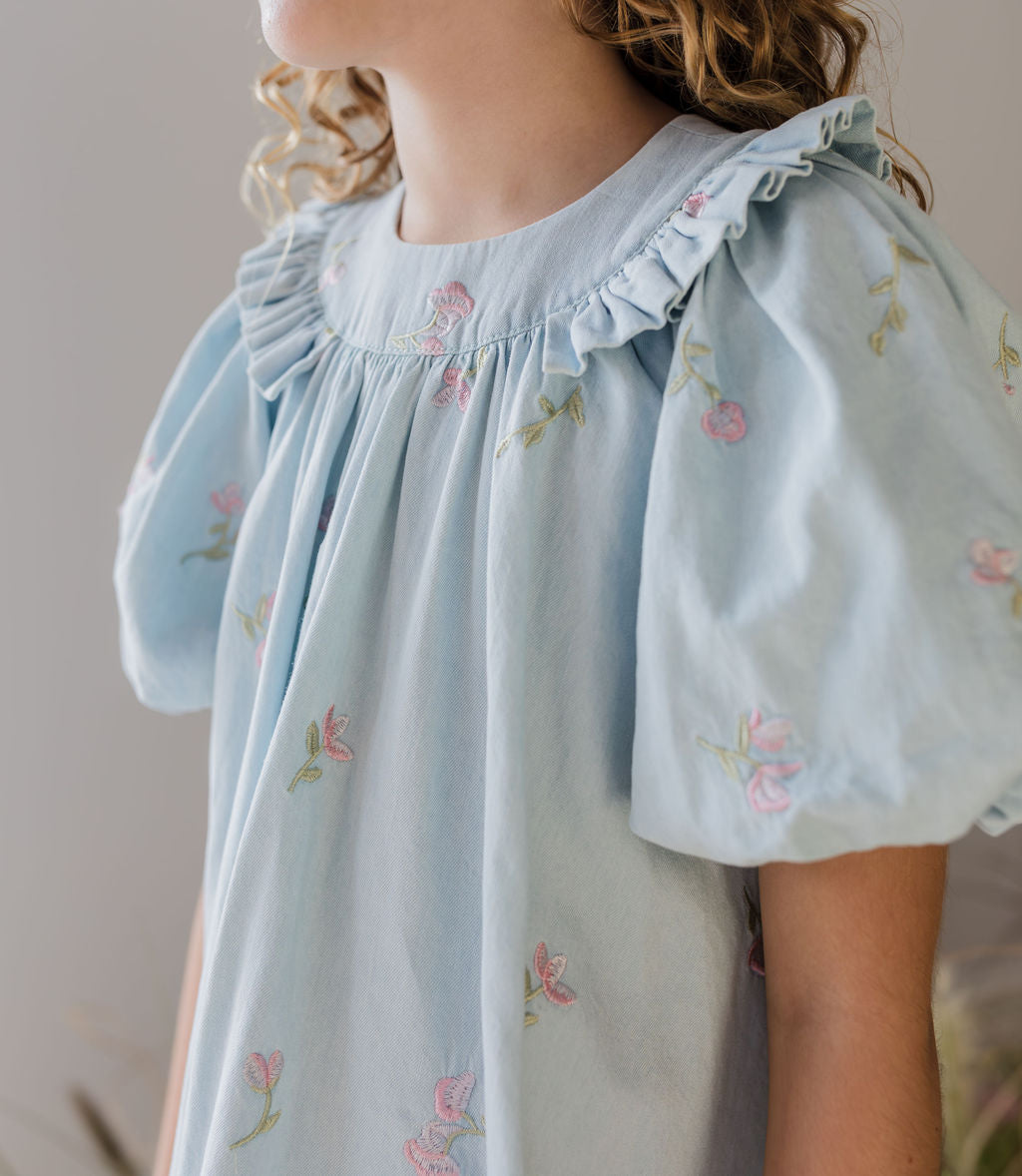 Embroidered Chambray Babydoll Dress