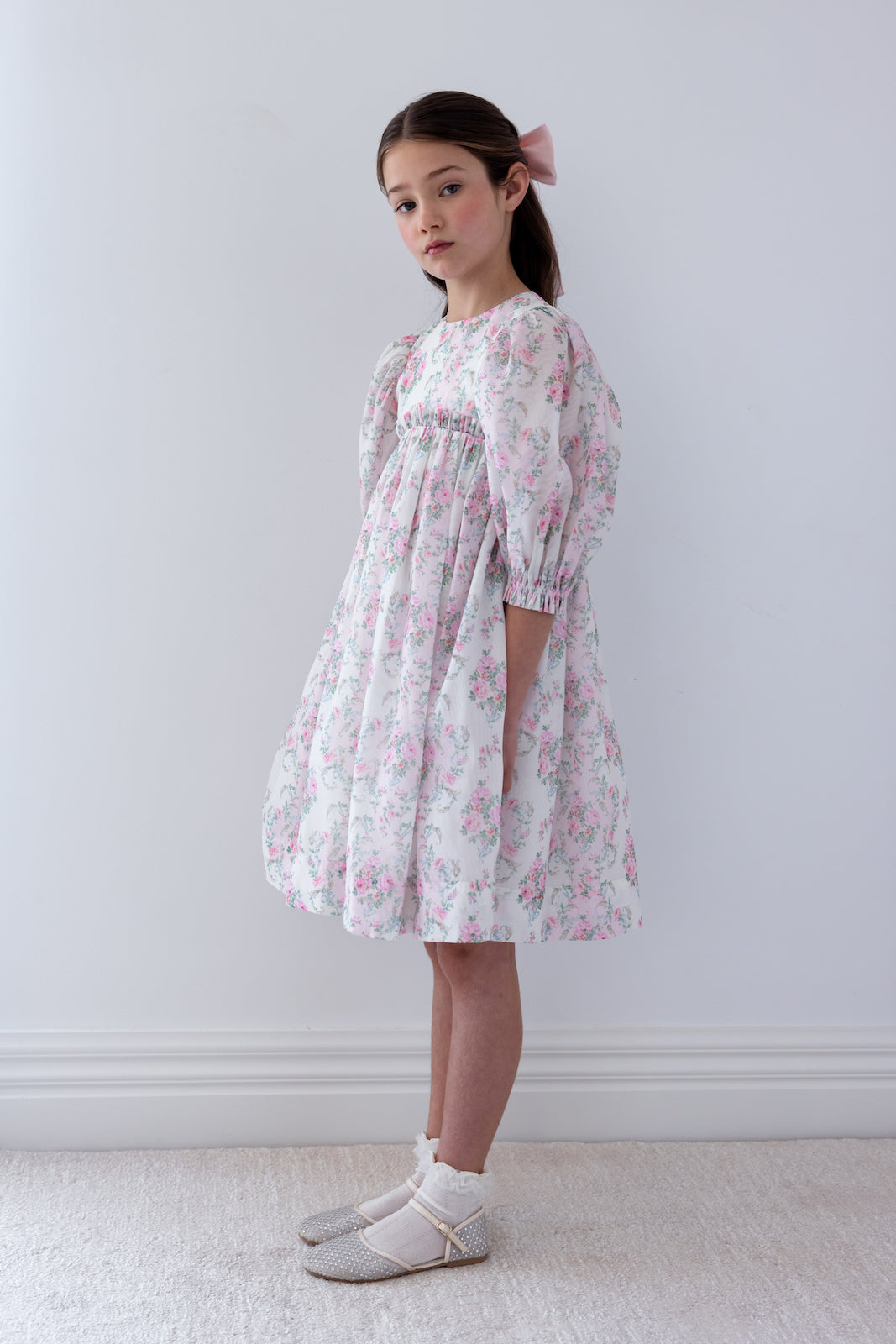 Elbow Sleeve Vintage Wallpaper Organza Dress