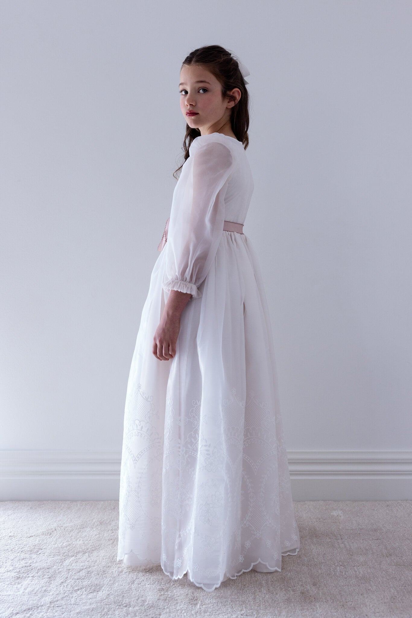 Embroidered Cameo Organza Gown