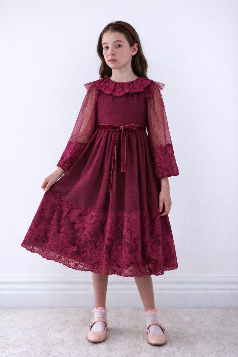 Lace Ruffle Neck Spot Tulle Dress